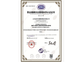 職業(yè)健康安全管理體系認(rèn)證證書